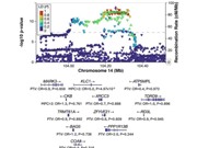 Các nhà khoa học phát hiện 8 gene mới liên quan đến tâm thần phân liệt